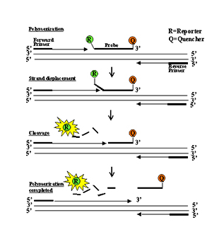 玩彩网「中国区」官方网站